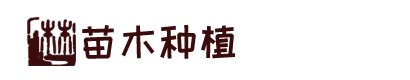 米兰(中国)体育官方网站-AC Milan